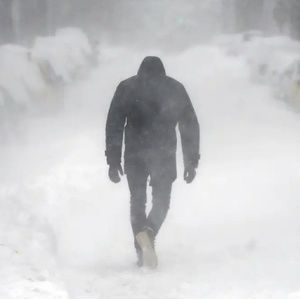 Meet your Posher, Ferdinand